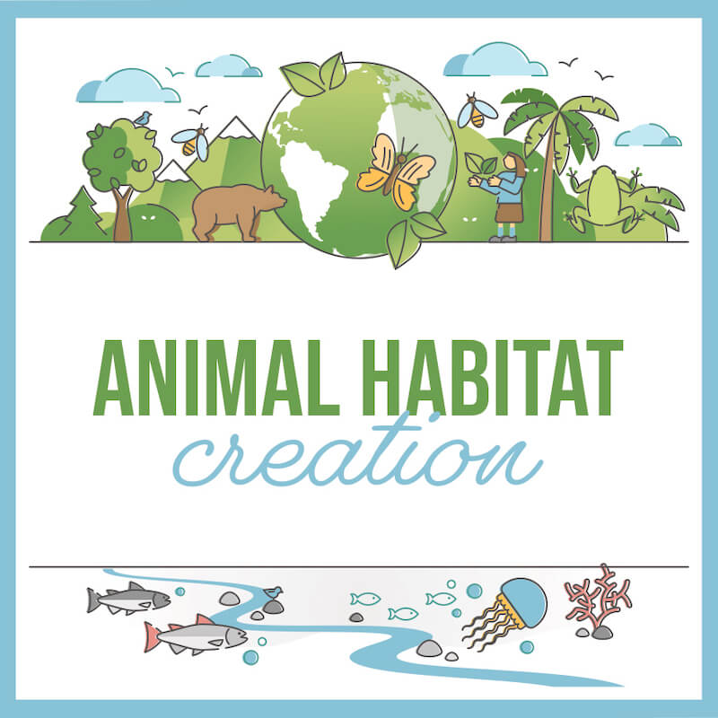 Animal Habitat Creation/Experience - 1st Grade - Magnolia School